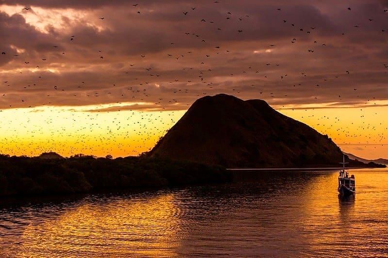 Recommended Labuan Bajo Tour Packages